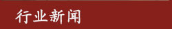 领导成员